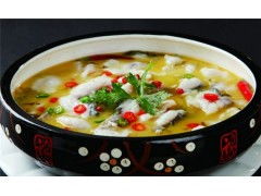 壇老徐有料酸菜魚加盟費用解析與產品供應概覽